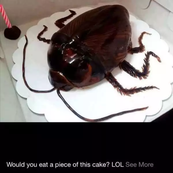 Oh My!! See The Cockroach Cake Someone Got For Her Party [See Photo]